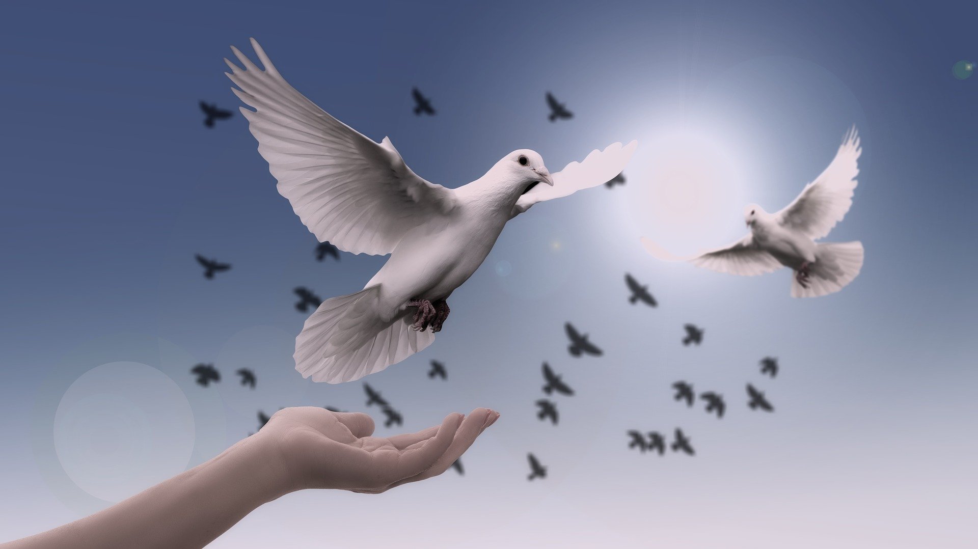 Entspannung und Frieden mit Russland (Bild) Entspannung und Frieden mit Russland - dove 3426187 1920