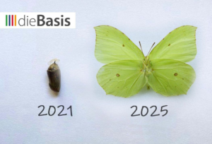 dieBasis - 2021-2025 - aus der Puppe wird ein Schmetterling
