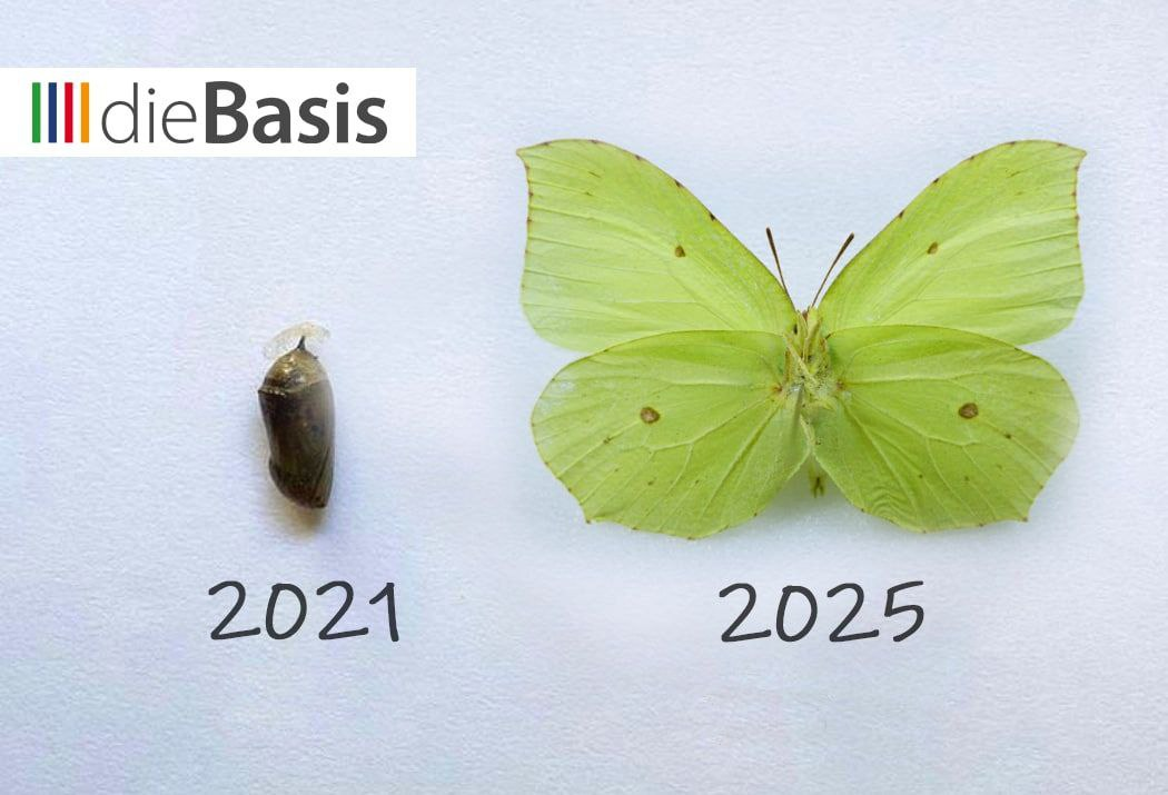 DANKESCHÖN (Bild) dieBasis - 2021-2025 - aus der Puppe wird ein Schmetterling