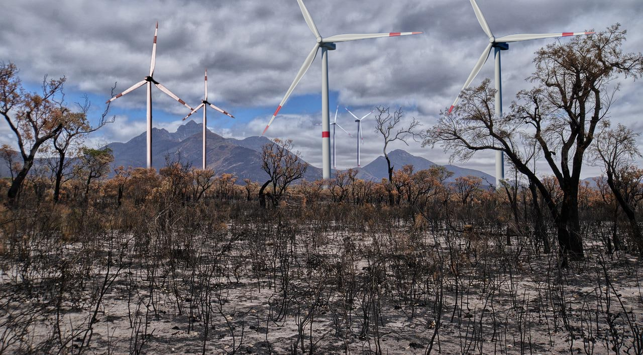 Energiewende - Das Utopia der Grünen (Bild) Energiewende