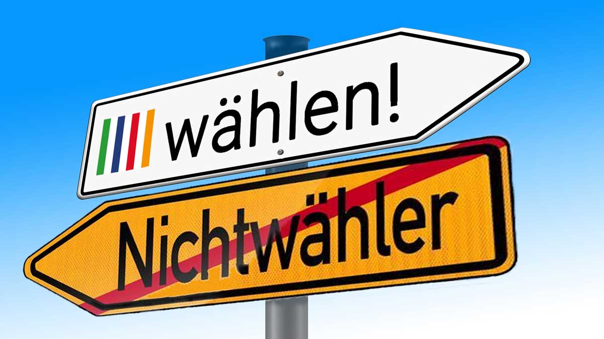 Nicht-Wähler-Wegweiser: Nichtwähler - dieBasis wählen!