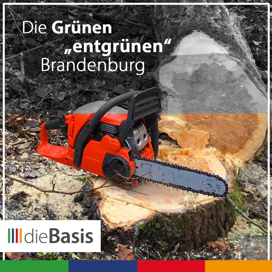 Die Grünen "entgrünen" Brandenburg