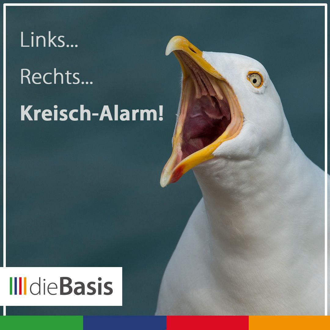 links rechts