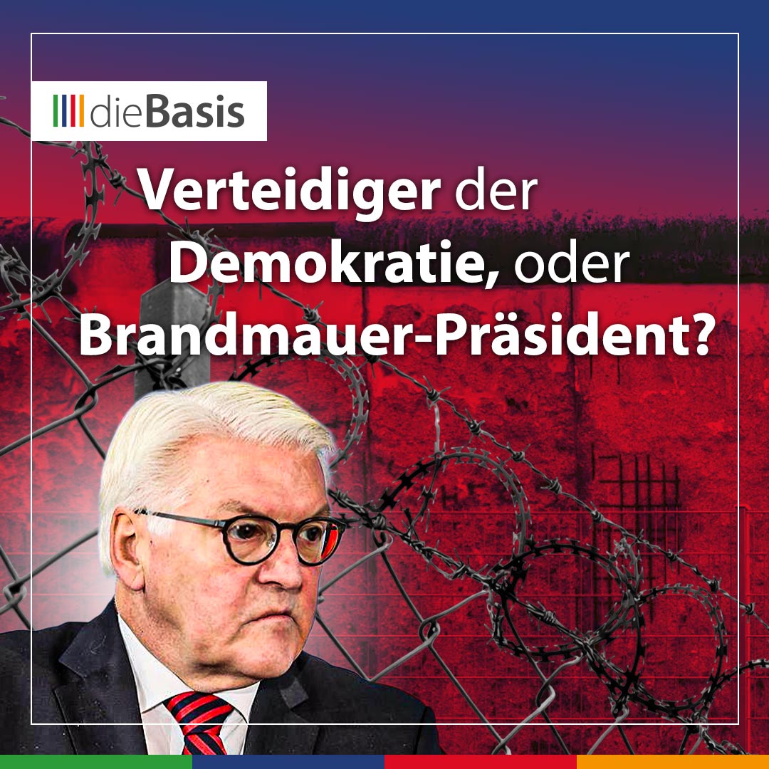 dieBasis (Bild) Steinmeier: Verteidiger der Demokratie oder Brandmauer-Präsident?