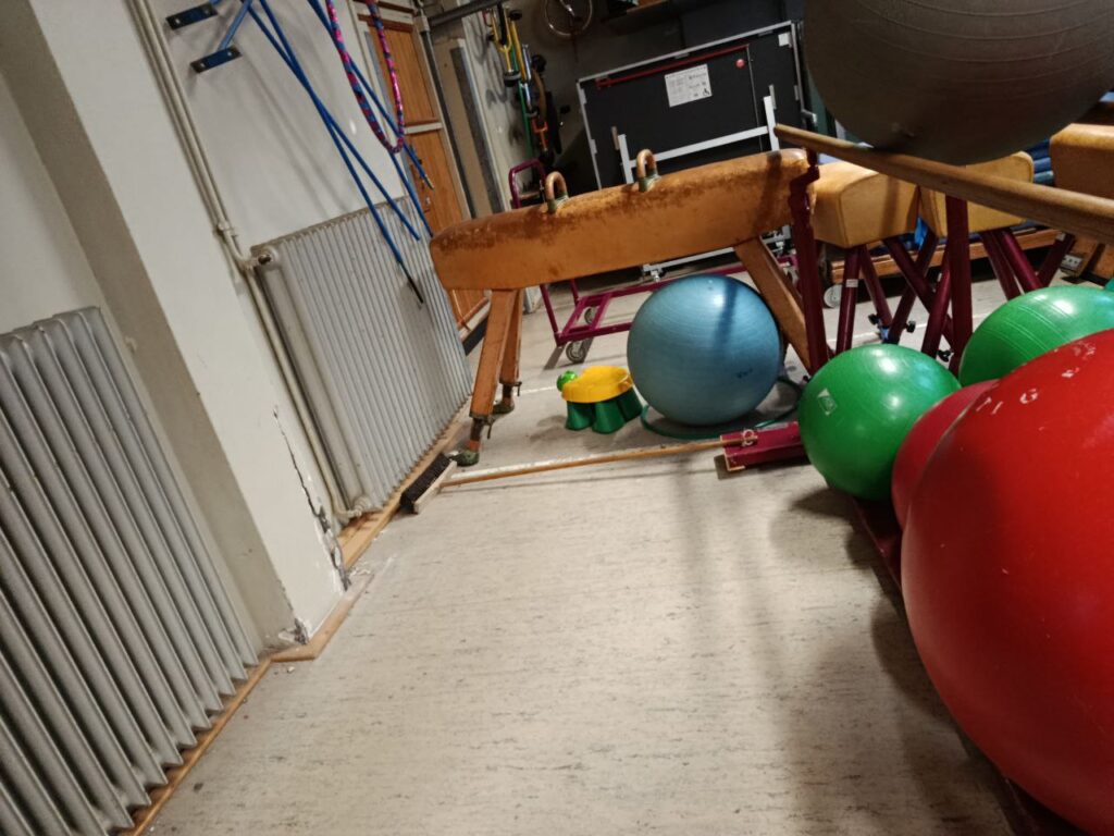 Bild zum Artikel Marode Sporthallen