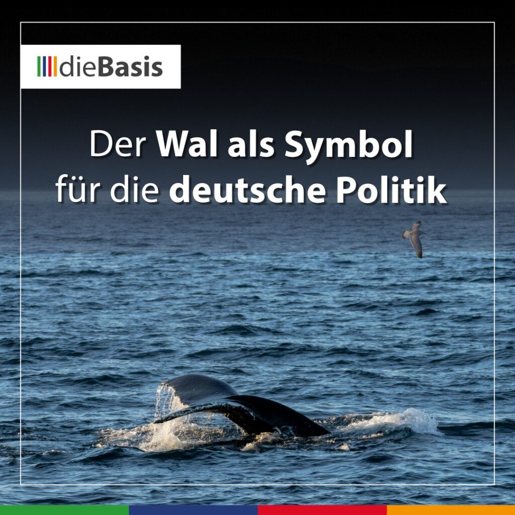 Beitragsbild Timmy – Der Wal als Symbol für die deutsche Politik (Der Wal ist Symbolbild)