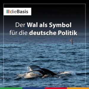 Beitragsbild Timmy – Der Wal als Symbol für die deutsche Politik (Der Wal ist Symbolbild)