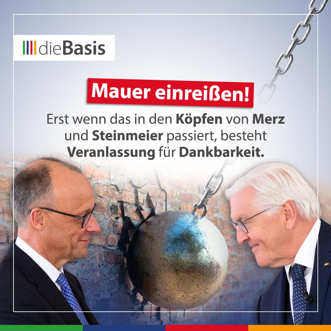 Beitragsbild: Müssen wir Merz und Steinmeier dankbar sein?