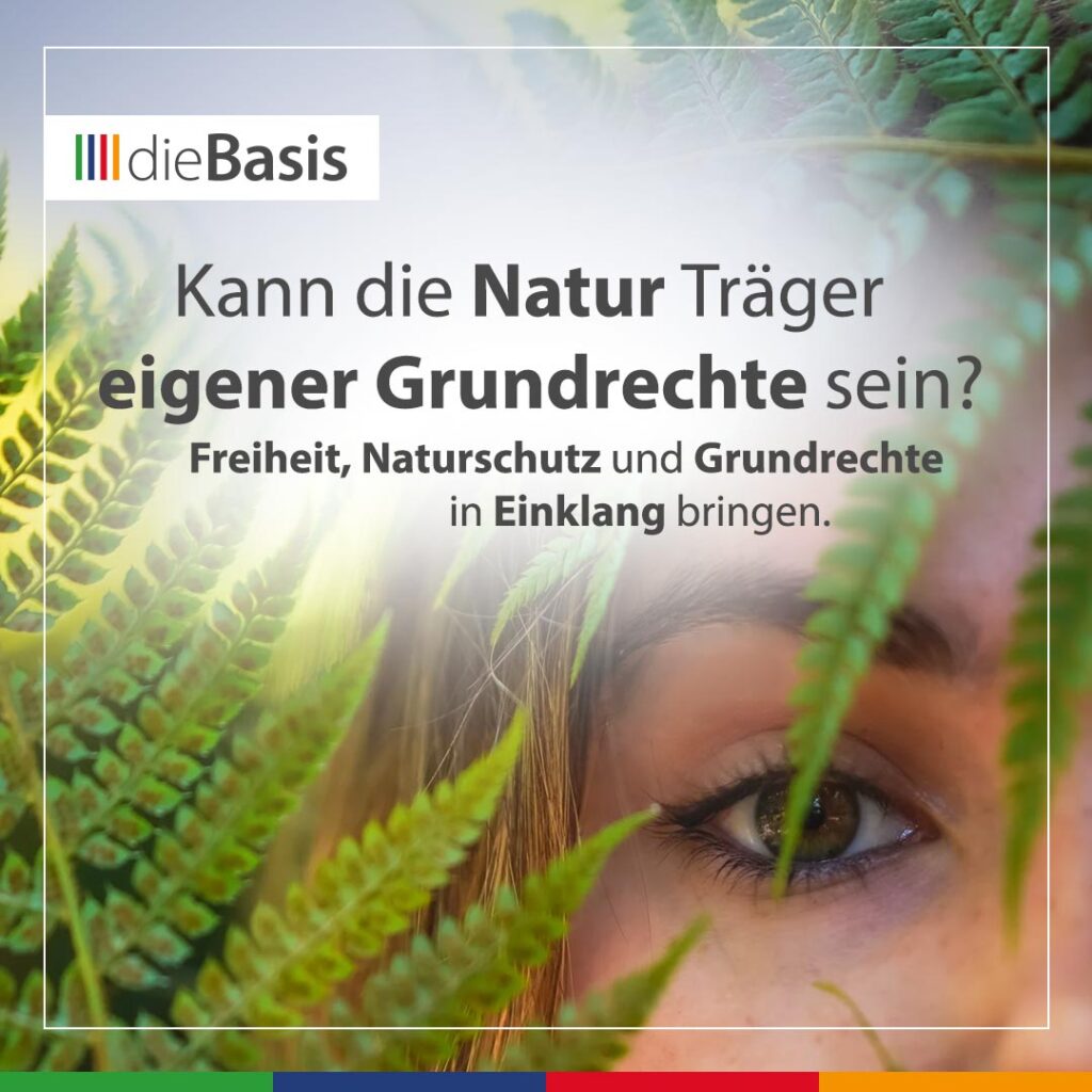 Beitragsbild Politischer Frühschoppen - Grundrechte der Natur